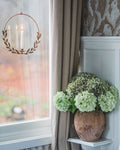 Konstväxt Hortensia, Grön