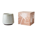 Doftljus Sea Salt & Coconut