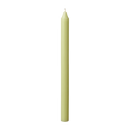 Kronljus, Avocado