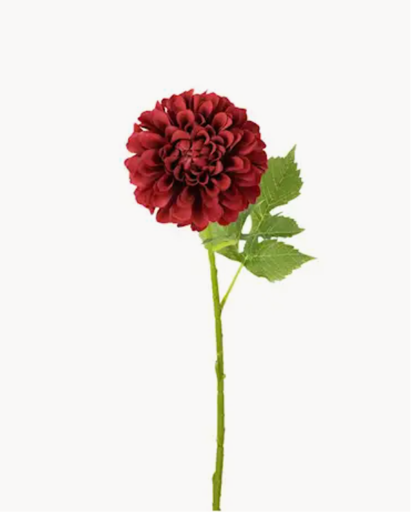 Konstväxt Dahlia, Vinröd