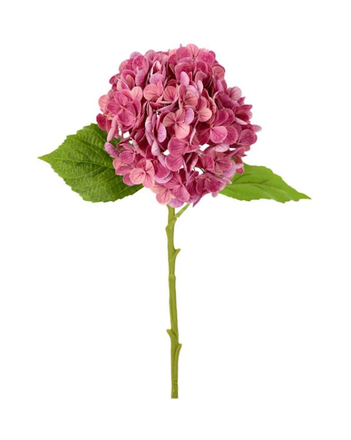 Konstväxt Hortensia, Rosa