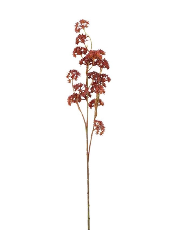 Konstväxt Kärleksört, Mauve